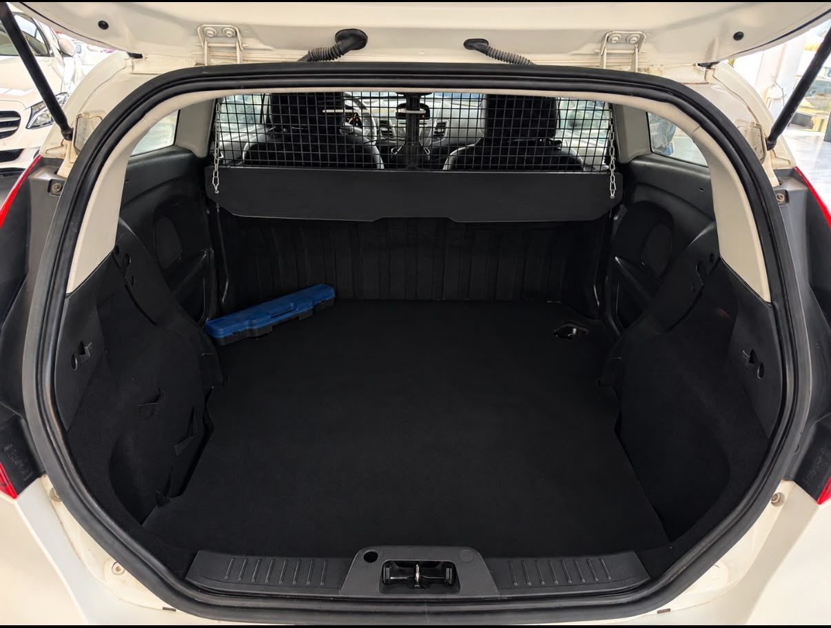 FORD FIESTA VAN 1.2 82CV BENZINA